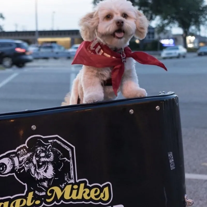 A small dog in a red bandana looking out of the Galley food truck window